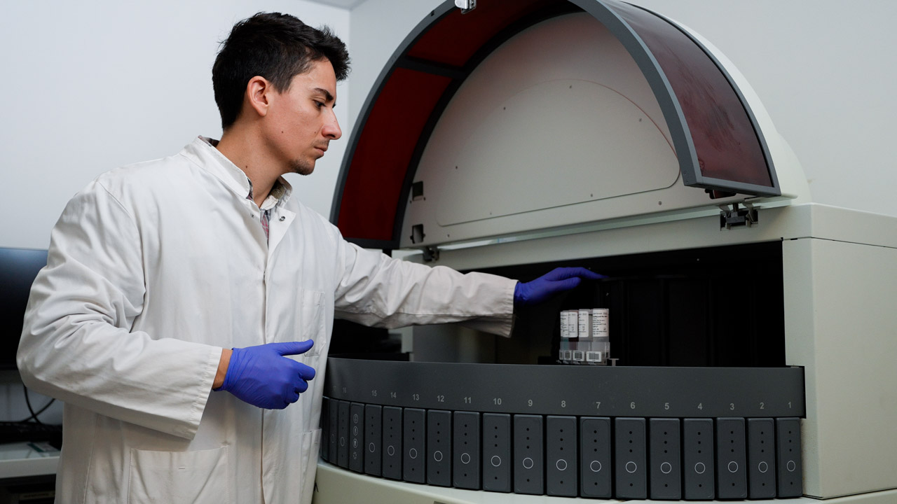 FFPE tissue processing and IHC multiplex IF assay development