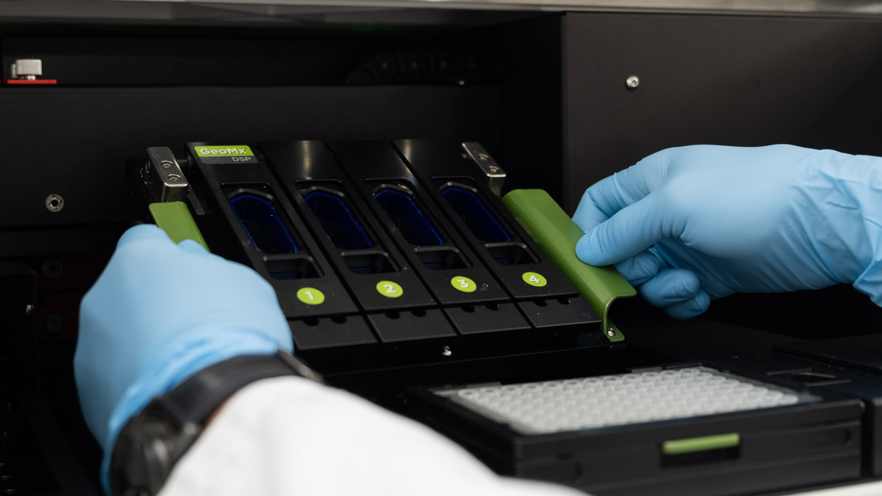 GeoMx services: Sample logistics, preparation, and QC