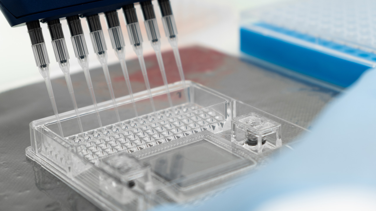 Olink Reveal Proteomics CRO Plasma Biomarkers