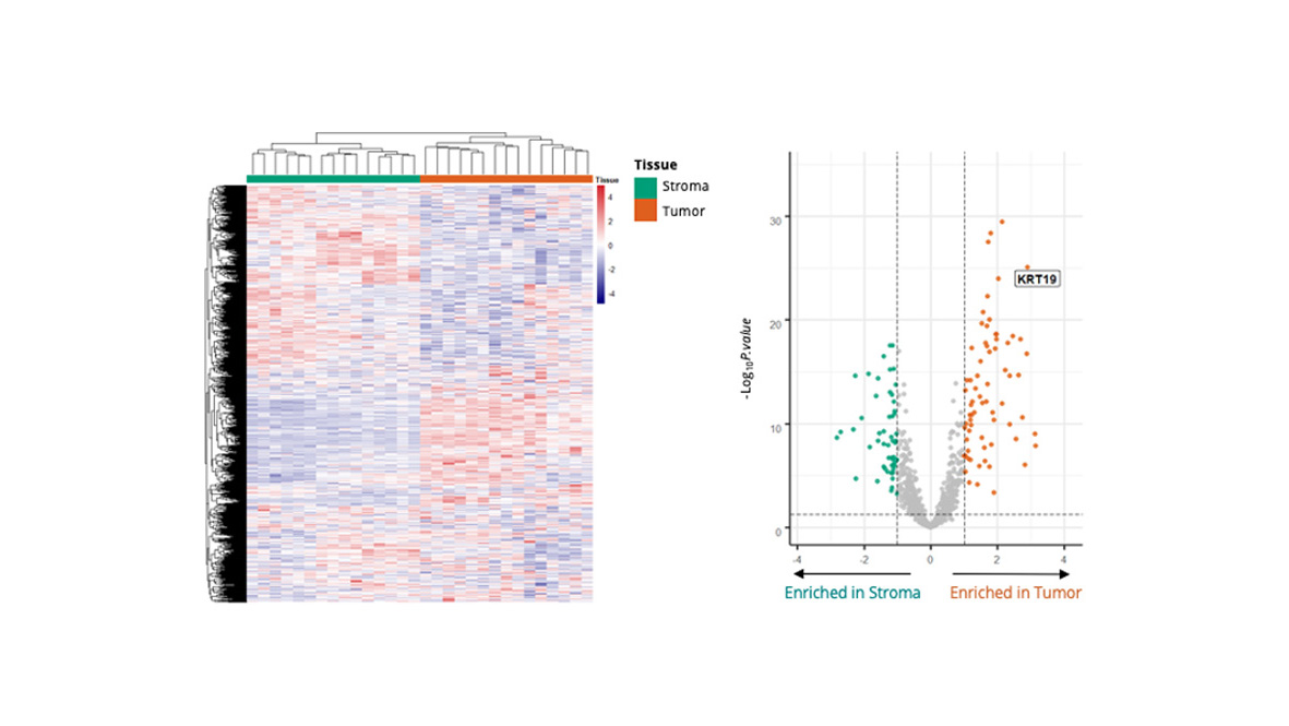 spatial transcriptomics CRO services DSP geomx nanostring data analysis