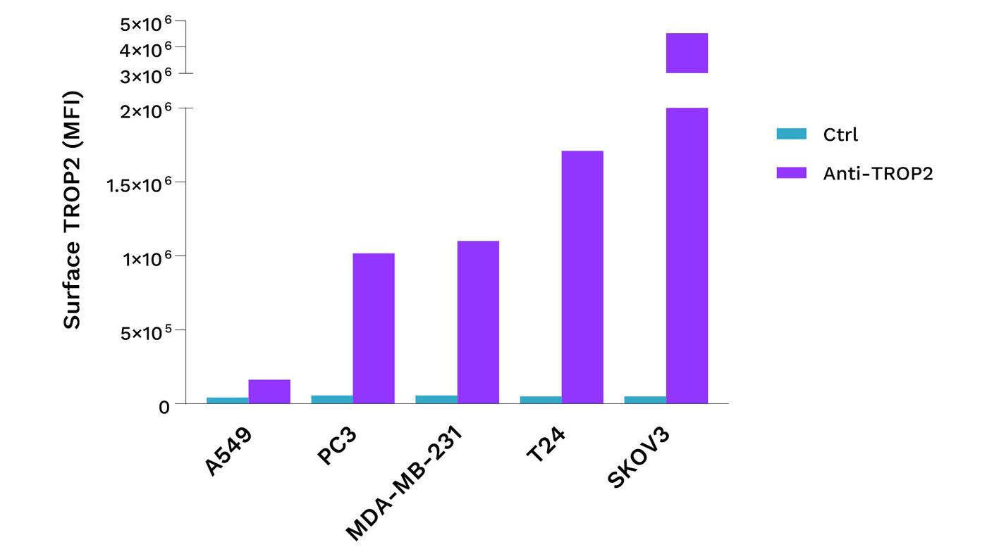 Selection of cell lines based on TROP2 expression