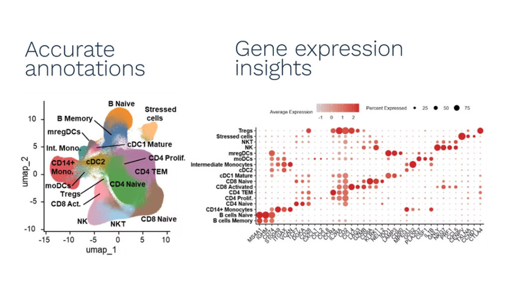 Single-cell clustering and treatment-response analysis from Xenium STAMP data
