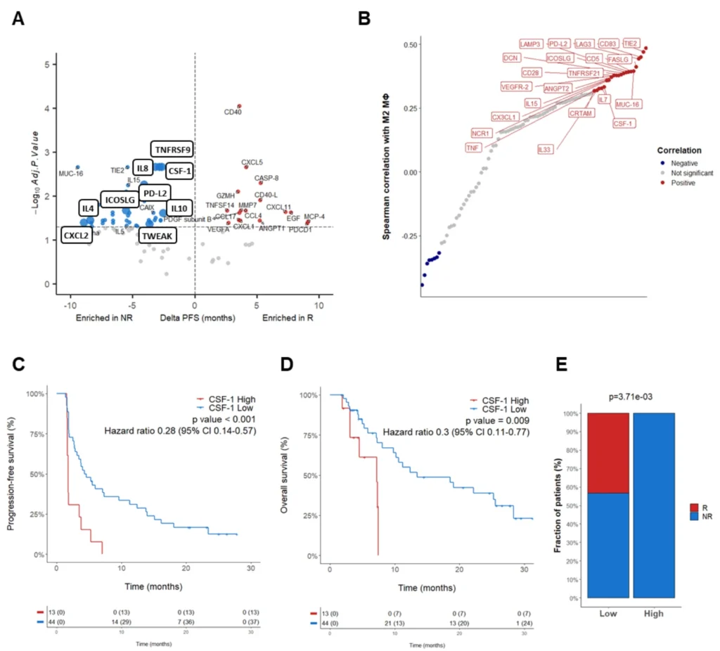 Circulating cytokines mirror macrophage-driven resistance in gastric cancer