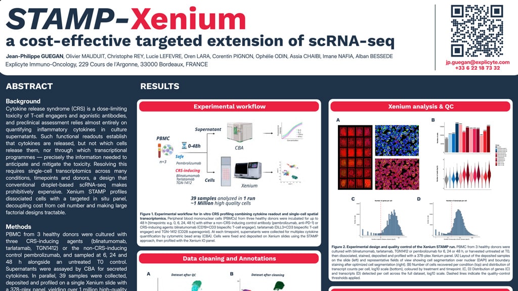 STAMP-Xenium: Single-Cell Profiling of Cytokine Release Syndrome